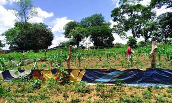 Imagem 3: Lote de 580mt² no Buriti sereno