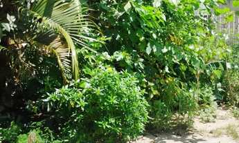 Imagem 3: Aluguel casa para temporada