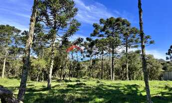 Imagem 6: Chácara em Estrada Josafaz - Contendas - São Francisco de Paula/RS