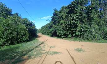 Imagem 3: /Lote com 1020 m2 no km 19 da AM 070