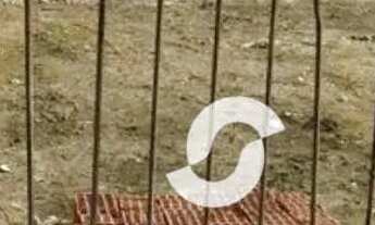 Imagem 3: Terreno plano na Serra Grande - Niterói/RJ