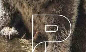 Imagem 7: Terreno à venda, 450 m² por R$ 450.000,00 - Parque dos Príncipes - São Paulo/SP