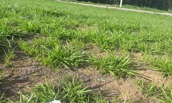 Imagem 3: Ágio de lote Terreno / lote com venda por R$10.000