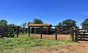 Imagem 2: Fazenda 37 alqueires