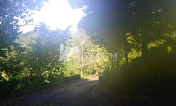 Imagem 7: ÓTIMO SÍTIO EM GRAMADO PARA SE INVESTIR