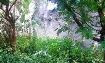 Imagem 4: Terreno - Vila Buenos Aires - São Paulo/SP