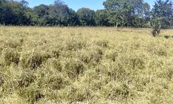 Imagem 3: Imóvel para venda possui 329000 metros quadrados em Zona Rural - Arinos - MG