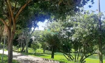 Imagem 4: Lote no Setor Pedro Ludovico