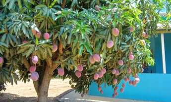 Imagem 4: Linda chácara em Bonfinópolis go