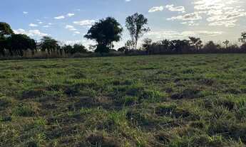 Imagem 2: Chácara de 1500 metros café sem troco saída para unai