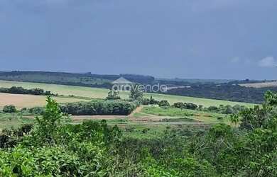 Imagem 7: SÍTIO EM ABADIÂNIA - 28,8 HECTARES (5,9 ALQUEIRES