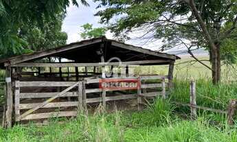 Imagem 4: Chácara 8.10 Alqueires (39.20 Hectares) Edealina - GO