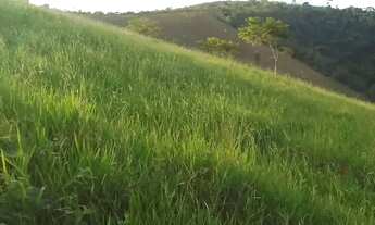 Imagem 3: Áreas à venda em rua pública, ZONA RURAL, Ubaíra, BA