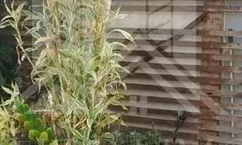 Imagem 7: Casa com Piscina à Venda no Jardim Império do Sol Zona Norte de Londrina/PR