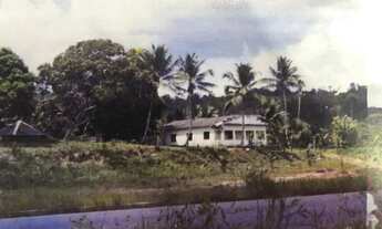 Imagem 7: /Tereno com 27 hectares na BR 171