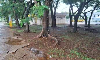 Imagem 4: Terreno Comercial de 250 m² no Cruzeiro Velho, Brasília - Venda R$ 1.160.000,00