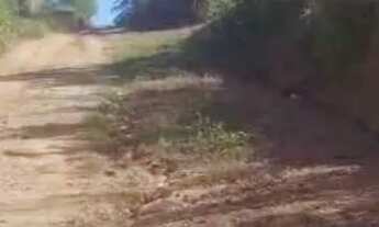 Imagem 4: Lote no conjunto Brasilar 66x88