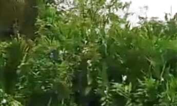 Imagem 3: Vendo ou troco terreno por Carro