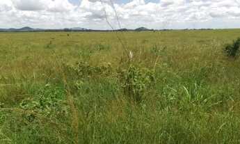 Imagem 2: Venda-se está fazenda de 122 Alqueires no Estado do Rio de Janeiro/JR