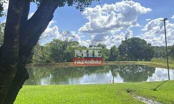 Imagem: Chácara 7 alqueires (33,88 hectares). Guapó