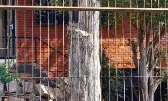 Imagem: Casa com 3 dormitórios para alugar, 120