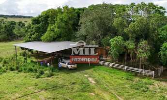 Imagem 2: Chácara 8.10 Alqueires (39.20 Hectares) Edealina - GO