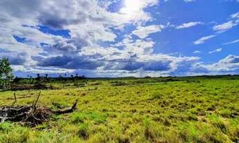 Imagem: Fazenda para arrendamento