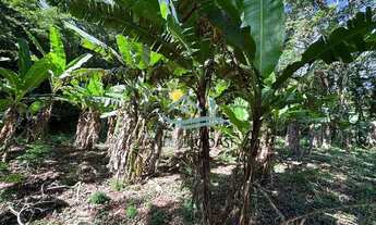 Imagem 2: Terreno à venda, 3000 m² por R$ 649.000 - T Pequeno - São Sebastião/SP
