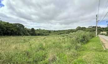 Imagem 7: Imóvel para venda com 13310 metros quadrados em Área Rural de Araucária - Araucária - PR