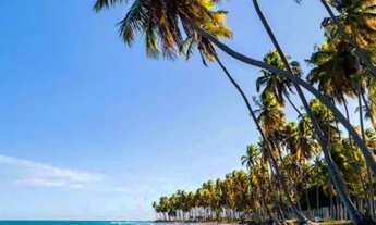 Imagem 15: Imóvel para venda possui 23 metros quadrados com 1 quarto em Centro - Frei Miguelinho - PE