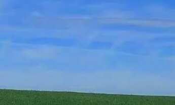 Imagem: Lapa, 50 alqueires, à 28 km da cidade