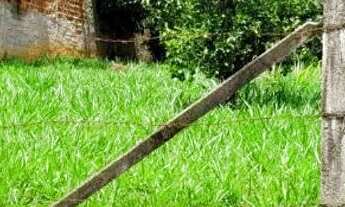 Imagem 3: Terreno Terreno / lote com venda por R$120.000