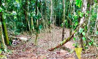 Imagem 6: Terreno liberado Pru Mirim, pronto para construção imediata