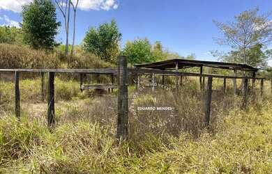 Imagem 7: Chácara C/ 35.000m², quase 1 alqueire, córrego, casa, pomar, 10 km de Abadiânia GO