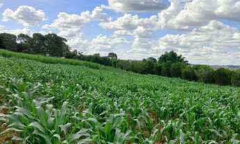 Imagem: Chácara meio alqueire