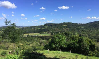 Imagem 5: Excelente sítio contendo 9,2HA em Igrejinha!!!