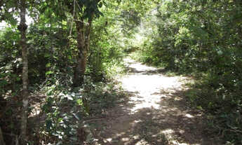 Imagem 7: Linda chácara de 2.500 m², com nascente a 100 metros do Rio Cipó (Temos varias opções)