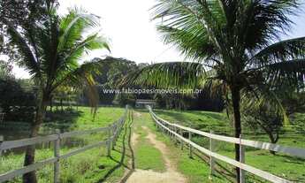 Imagem 4: Fabio Paes Imóveis - Haras 4.13 alq (20 ha) montado, pista de competição e muito mais