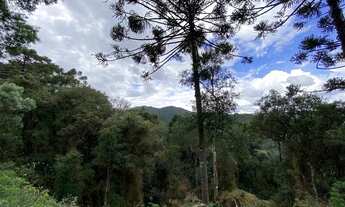 Imagem 4: Terreno de 2 hectares com cachoeira