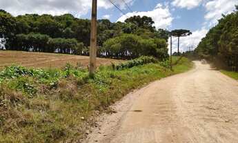 Imagem 3: Área Fazenda Rio Grande, 42.576,52 m2- fundos Jd. Veneza- R$4.260.000,00