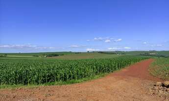 Imagem 7: Venda Fazenda / sítio com venda por R$6.000.000