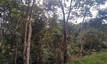 Imagem: Terreno de 4.000m² Vila Moraes