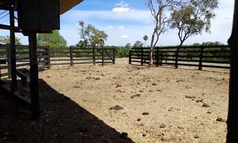 Imagem 2: Vendo fazenda em Santa Maria TO