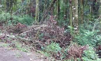 Imagem 2: VENDO CHÁCARA COM CASA EM TAQUARA