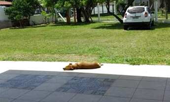 Imagem 2: Casa / Sobrado - Bairro Centro - Imbé