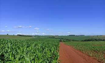 Imagem 4: Venda Fazenda / sítio com venda por R$6.000.000