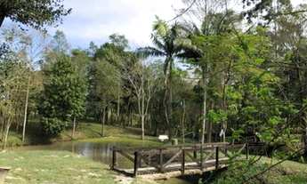 Imagem 3: IçARA - Sítio - Linha Anta