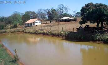 Imagem 3: Sítio à venda em Cosmorama com piscicultura montada