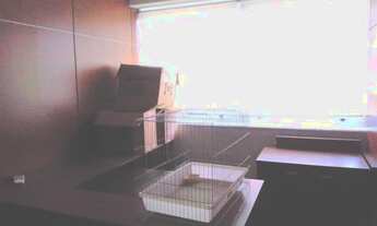 Imagem 5: SãO PAULO - Conjunto Comercial/Sala - PINHEIROS