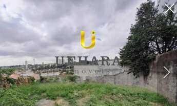 Imagem 6: Terreno Horto Florestal